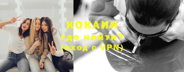 шишки Кулебаки