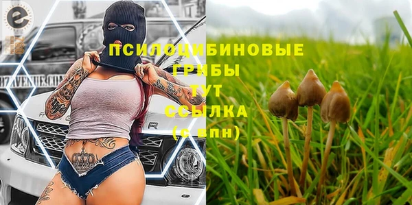меф Кукмор