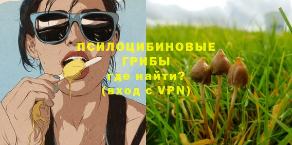шишки Кулебаки