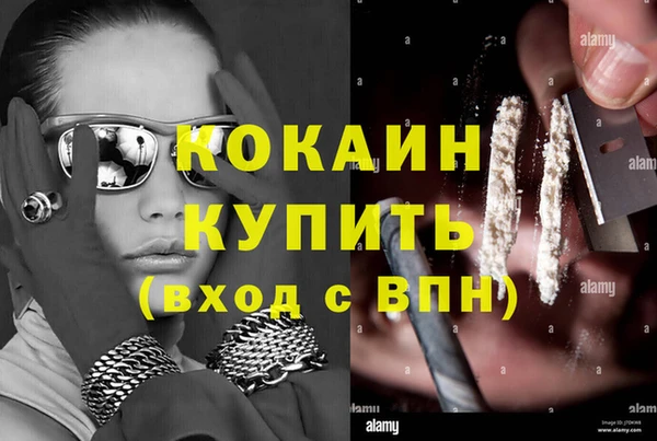 шишки Кулебаки