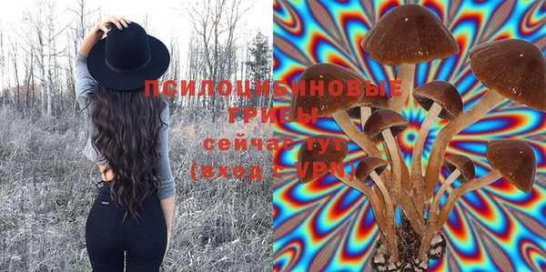 меф Кукмор