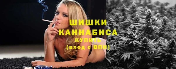 прущие грибы Ладушкин