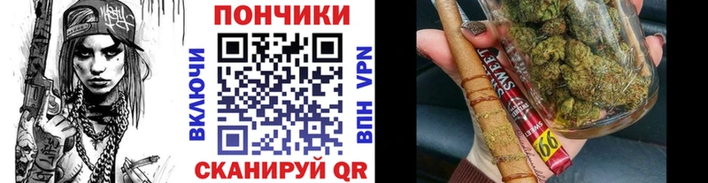 Канабис план  Купить закладки  Тулун 